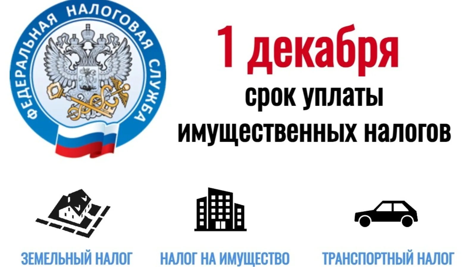 УФНС напоминает: уплатите налоги не позднее 1 декабря 2025 года